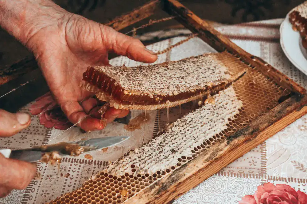 Close up of hands rubbing natural beeswax into a wooden block