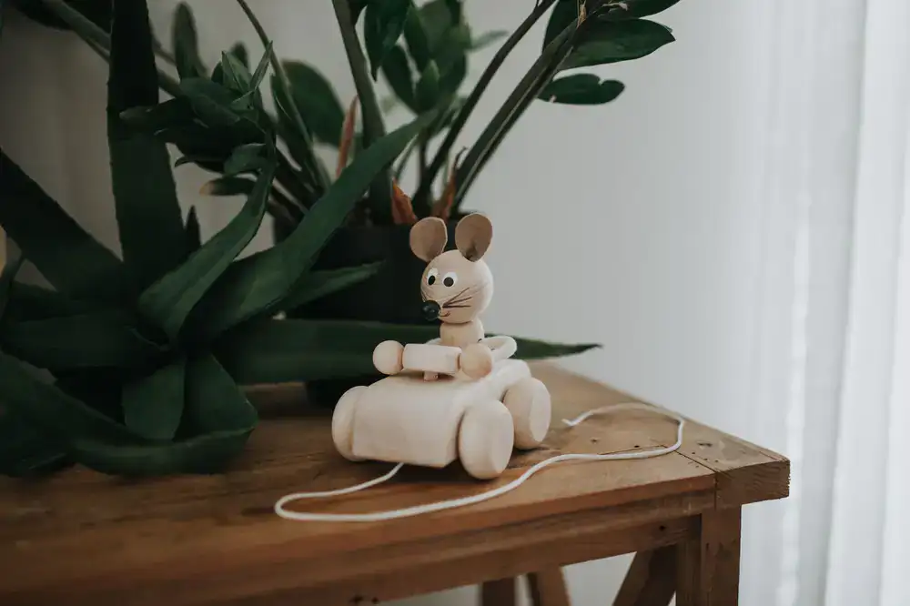 Wooden pull-along puppy toy with cotton string